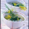Kräuterrahmsuppe 