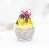 Stracciatella-Aprikosen-Creme