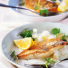 Zanderfilet mit Kohlrabi und Kresse in Weissweinsauce