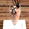 Schokoladeespuma aus dem iSi Gourmet Whip